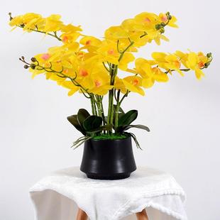 饰摆设假花盆栽 手感胶片仿真蝴蝶兰花艺盆景家居客厅桌面轻奢装