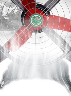 换气房养殖场工业级大功AL102503率音排风扇风高速排厨气静扇通抽