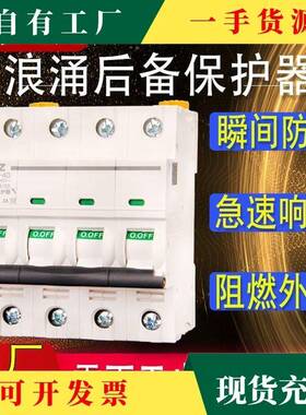 议上海人CMJ民浪涌后保护器·前备置防雷保护开关T1T2避雷CB跳匝S