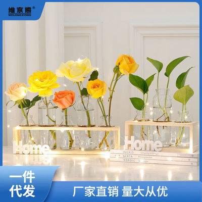 试管花瓶风创意绿萝水培玻璃插花小花瓶办公室房间客厅装饰品娜幽