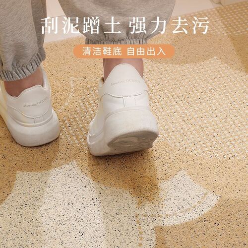 速发入户门垫可裁剪丝圈进门地垫家用玄关耐脏地毯蹭土防滑脚垫子
