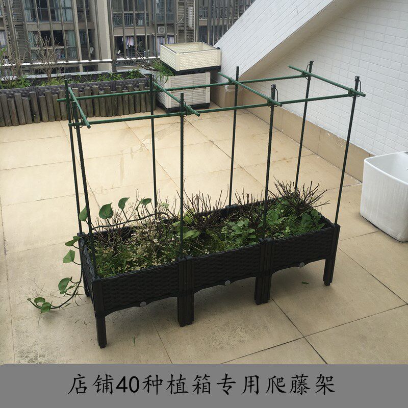 速发种植箱配套爬藤花架 番茄黄瓜是丝瓜 牵牛花蔷薇蔬菜爬藤(不