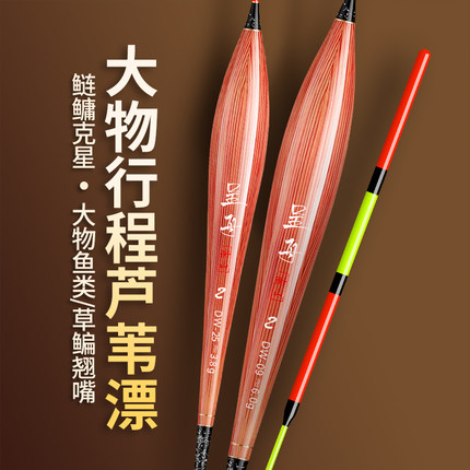 呈舟带壳芦苇大物鱼漂鲢鳙漂草鳊翘嘴浮漂加长行程芦苇浮漂加粗漂