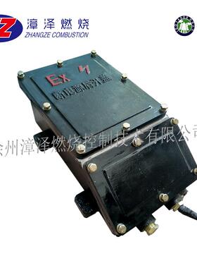 RXFD-20 防爆高能点火器 防爆等级：IIBT4，连续工作时间1h