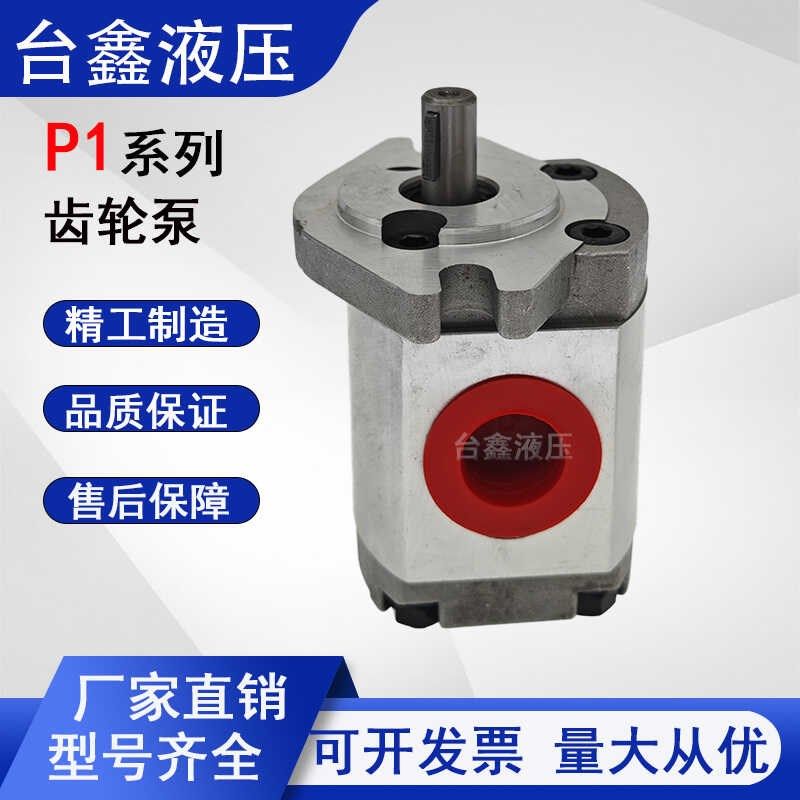 P10系列齿轮泵油泵P101/P102/vP104/P105/P106/P107/P109/P127,五金/工具,压力泵,淘宝优惠券,粉丝福利购,淘宝优惠卷