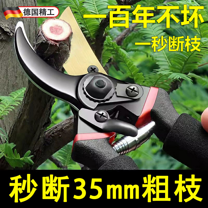 速发粗园剪刀剪枝树专用剪刀修枝剪园林果树修花家用艺枝剪子