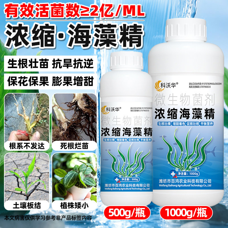 速发浓缩田苗精肥料鱼蛋白水溶肥甲壳素生根壮藻膨果大海作物通用