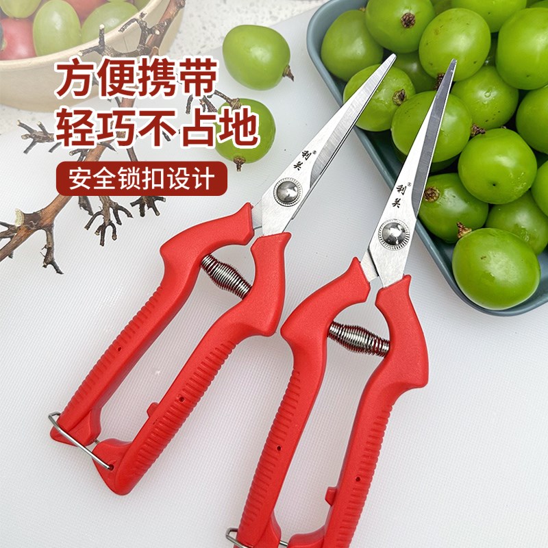 速发水果摘果剪橘子采果剪葡萄花椒专用剪刀园艺修枝剪稀果剪疏果