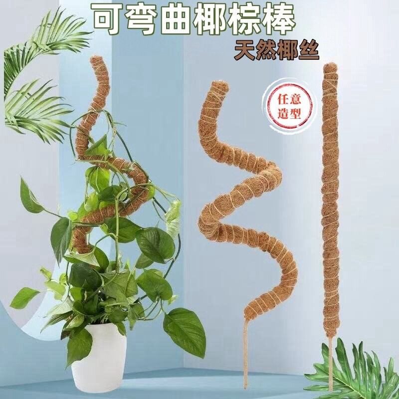速发创意龟背竹支撑杆绿萝柱固定支架棕柱椰棕棒棕榈柱植物园艺爬