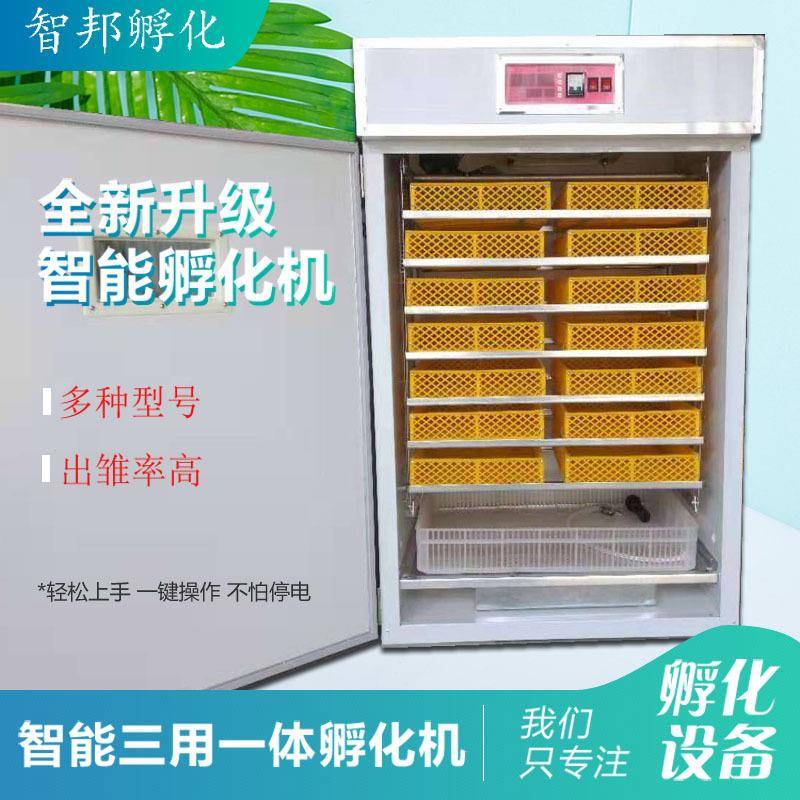 1232枚全自动孵化出壳三用机不怕停电的家禽种蛋孵化设备孵化机器