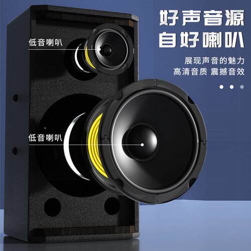 厂家直销恰声MD-6专业382会议室音教室台专用音舞箱响卡拉O音K箱