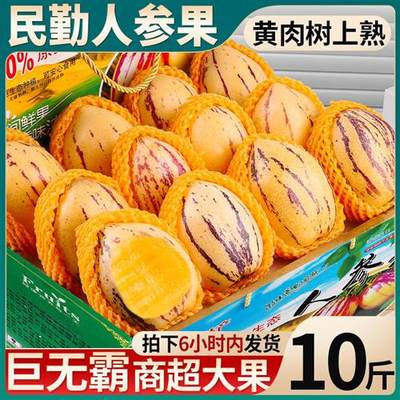 10斤甘肃民勤人参果新鲜整箱包邮人生果人心果水果孕妇长圆果