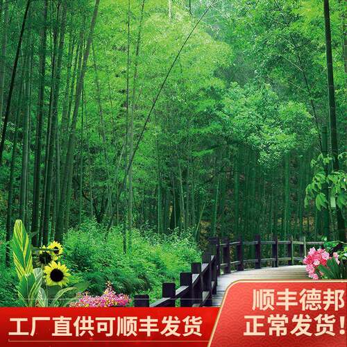 走森廊过道现代简约挂AL653640画竹林子景进门入户林风竖版墙壁玄