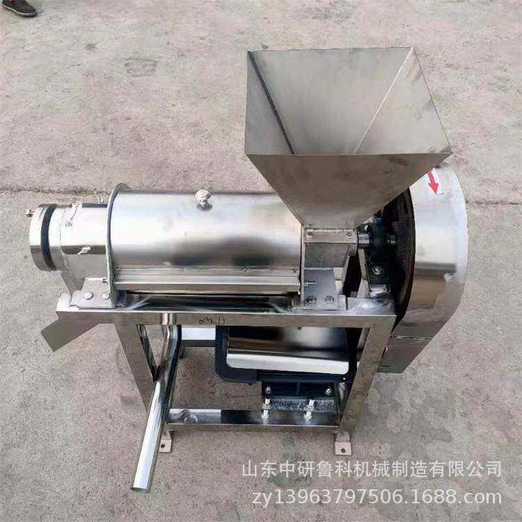 大型机葡萄去子籽榨榨汁螺旋水果蔬菜压榨机黄皮果梅TUD汁设备