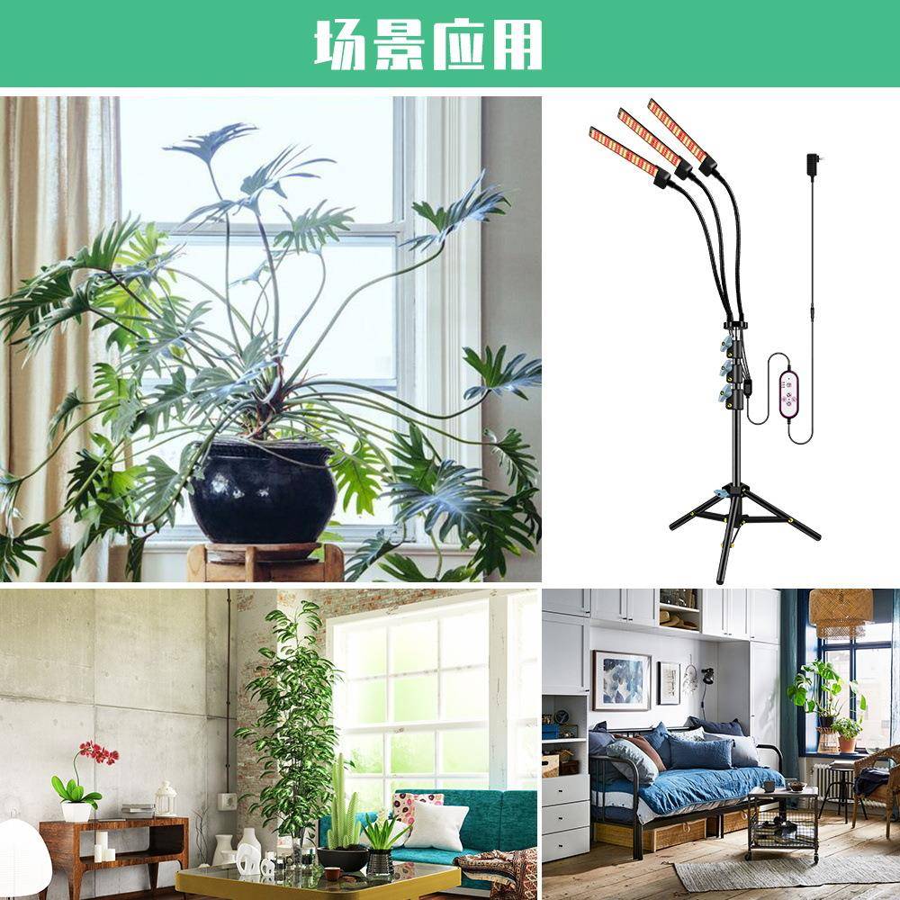谦润照明led植三角架植物式生脚长灯育室内全光谱大棚苗灯落地三