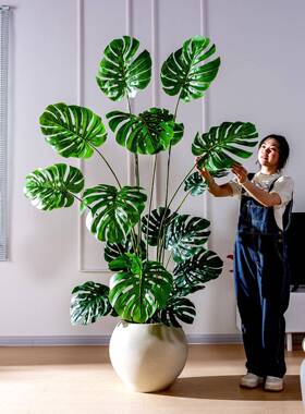 仿真植龟背竹客厅办公物仿生室内植盆AOF栽摆绿件落地假树造室景