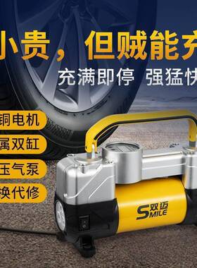 双迈式车载充气便携车用轮双缸48655高压大功率胎电动汽车打气泵