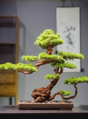 新中式客松盆景客玄关假松树迎摆件景室内绿植物装饰仿真91171厅