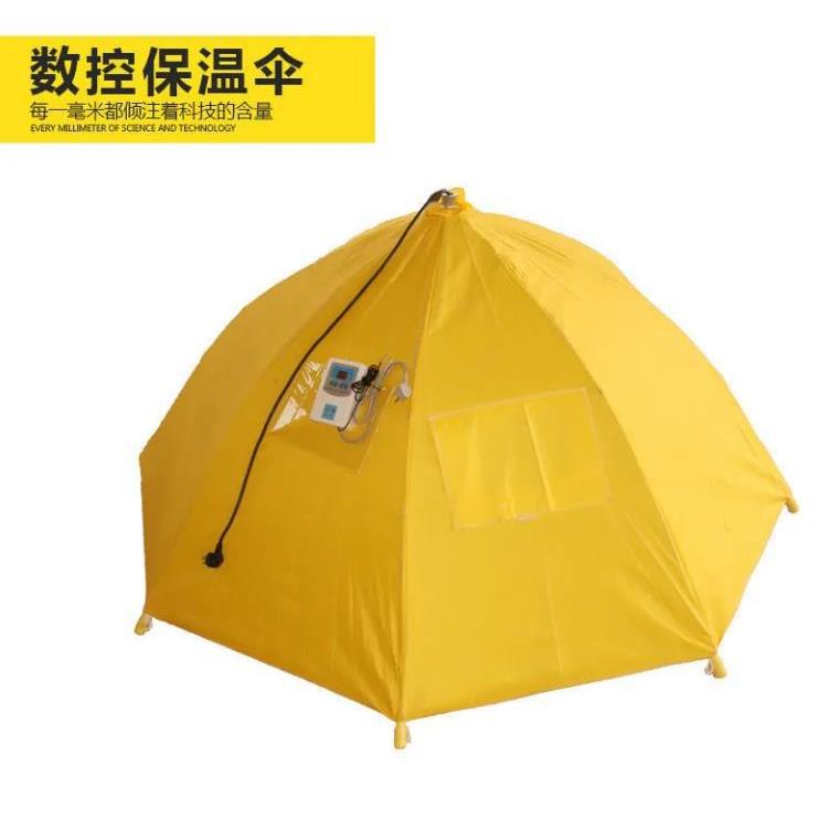 鸡育雏伞育器保温箱雏无品牌/小脱温设备自动控温自动保温伞伞养