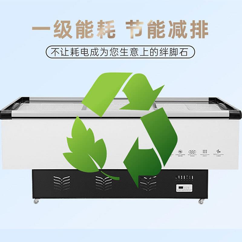 冰容柜商冰用大量冷柜箱冷卧藏展示柜保鲜冷冻两用岛柜XIS式玻璃