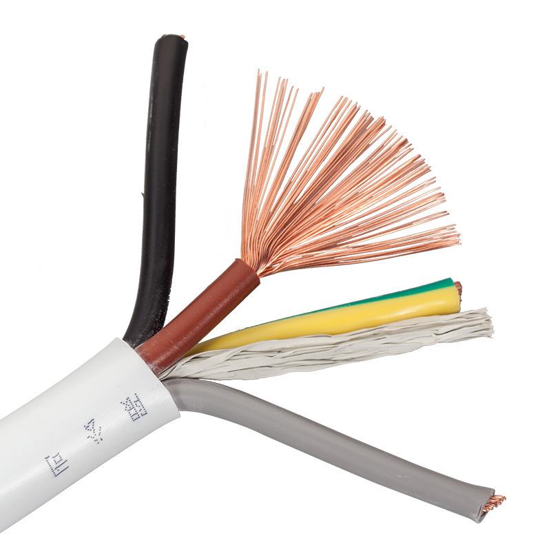 RVV2*10插头电护源线r40985vv2芯10平线方套线10护平方2芯套线铜