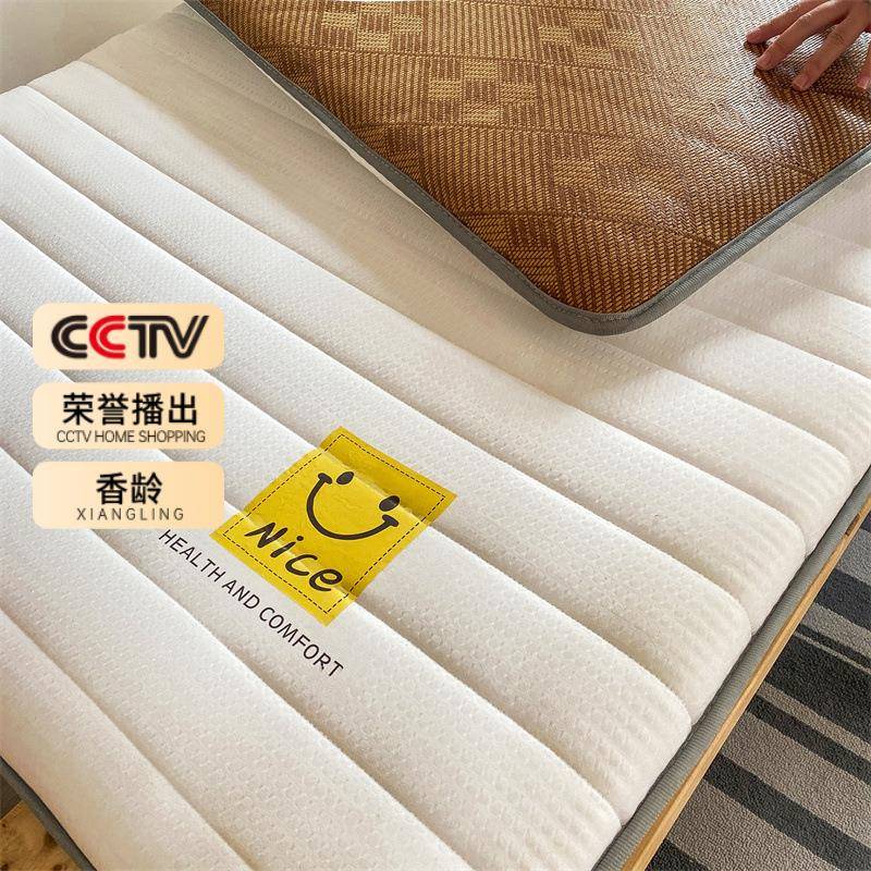 床垫学生宿SSR舍单人床垫被冬家用藤褥席软垫租夏房专用双面两用