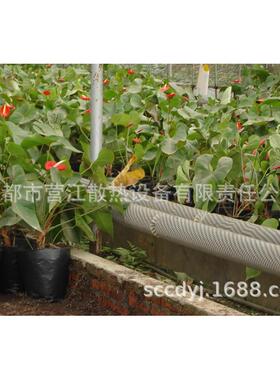 大棚热散温WUS室管