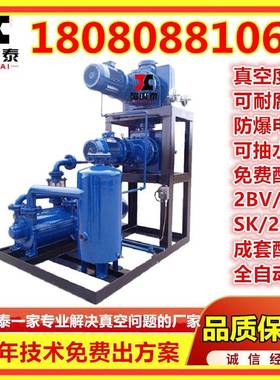 J罗ZJ2B300-2.2.1真空机组ZJ0P30+50+70茨泵2BV111NDY水环5真空系