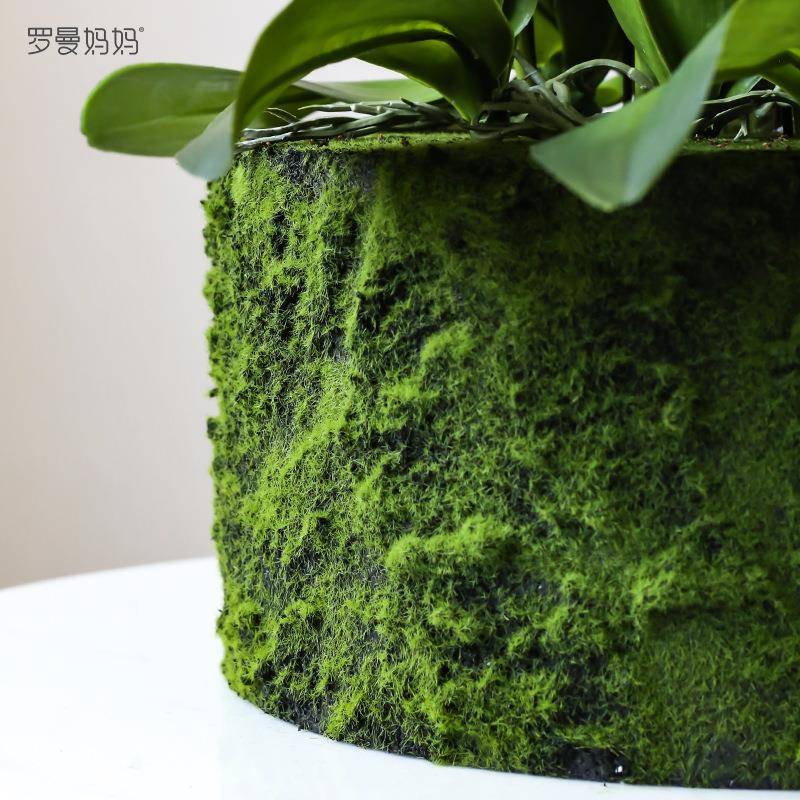 曼妈妈仿简意约风罗高档蝴蝶兰真花盆栽假OVM花套装创餐桌茶几装