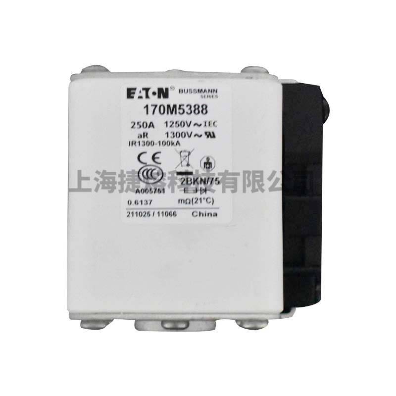 170M5388  170M5398 快速熔断器  保险丝 电子元器件 量大价优