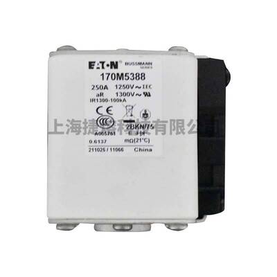 170M5388  170M5398 快速熔断器  保险丝 电子元器件 量大价优