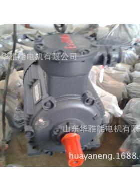 YZ-160M-P4-1KW电机替代ABB电机YB带KE3MNN电机加1长轴特殊轴轴头