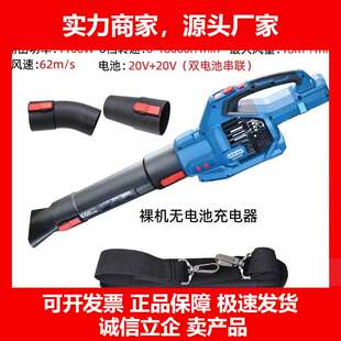 德国十大品牌大功率锂电吹风机DCQF40171吹雪机工业除尘器电动鼓