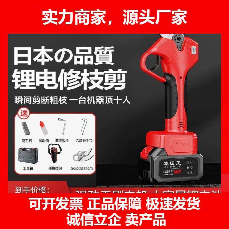德国十大品牌王电动修枝剪刀树枝修剪无线果树剪锂电池充电园林粗