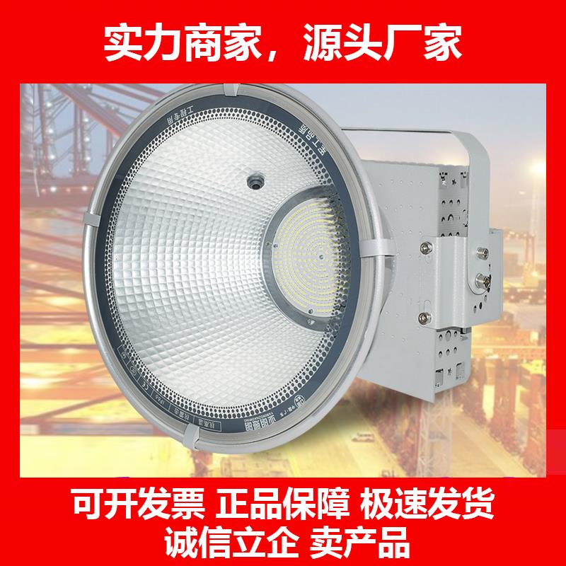 新款塔吊灯1000瓦大功率工地船用探照灯防水户外射灯2000