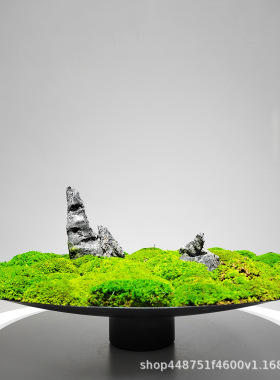 仿真植物盆景假山苔藓新中式桌面装饰绿植样板房室内造景工艺摆件