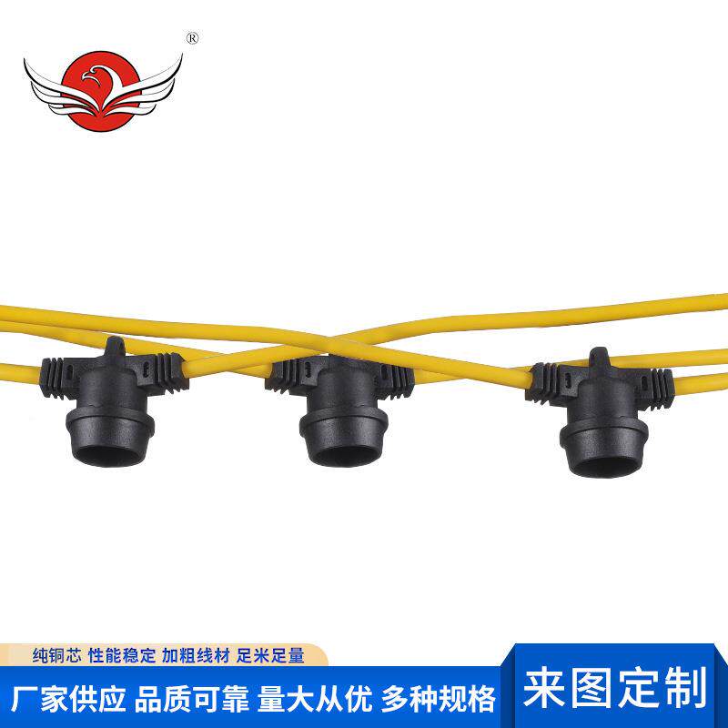 彩色户外火防水DTZ灯串线植物补光灯龙果灯灯电源线聚会露营串