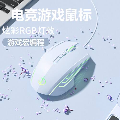 有线鼠标适用戴尔灵越15/14 Pro灵越16/14 PLUS游戏电竞鼠标静音