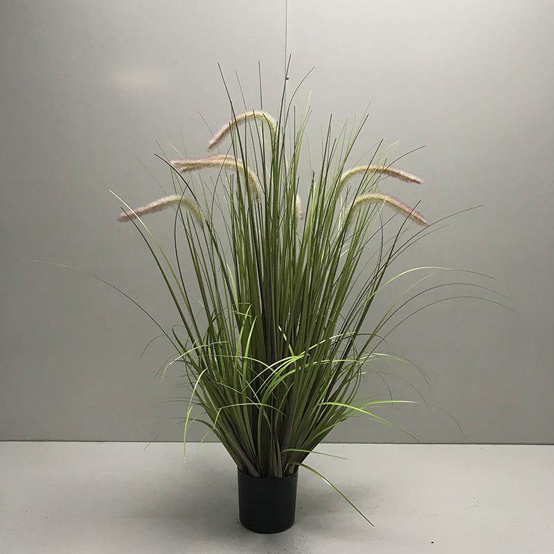盆栽洋葱草仿真植物草盆个性仿真狗尾草盆装饰浴场园艺绿植,鲜花速递/花卉仿真/绿植园艺,仿真绿植,淘宝优惠券,粉丝福利购,淘宝优惠卷
