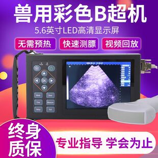 猪博士B超兽用B超机猪用高清测孕仪牛羊便携彩超检孕仪便携式仪器