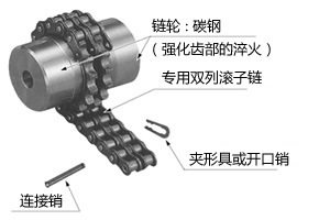链条联轴器  CR5016滚子链联轴器 链轮联轴器 双排链条联轴器
