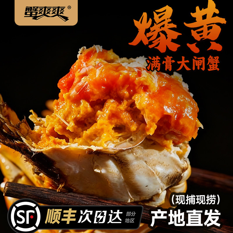 【活蟹】蟹爽爽大闸蟹鲜活全公大蟹两螃蟹礼盒源头直发湖鲜,水产肉类/新鲜蔬果/熟食,大闸蟹,淘宝优惠券,粉丝福利购,淘宝优惠卷