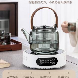 水壶家用茶F9757TSH 电陶煮茶器围炉煮茶壶2025新耐高温玻璃炉烧款