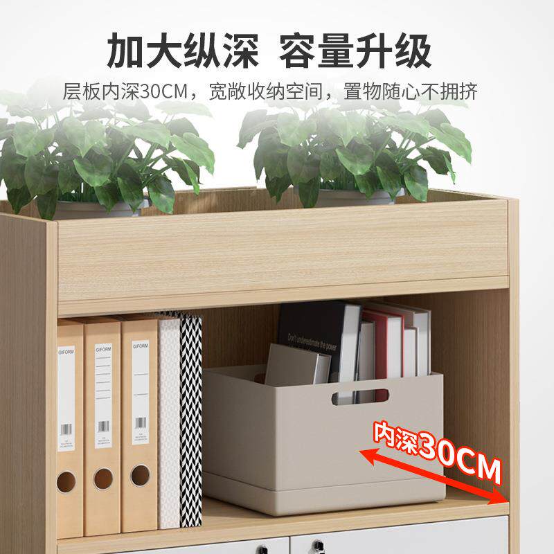 断文件柜木质EYE带锁办公柜隔办公室柜纳子矮柜花槽柜柜储物柜收