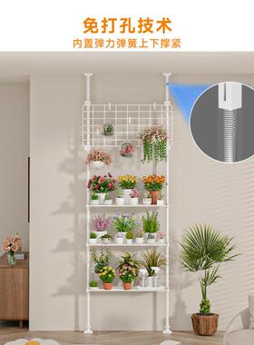 肉花架置物架阳mz6FsGBj架台层顶天立地厅支撑杆客展示多架室内植