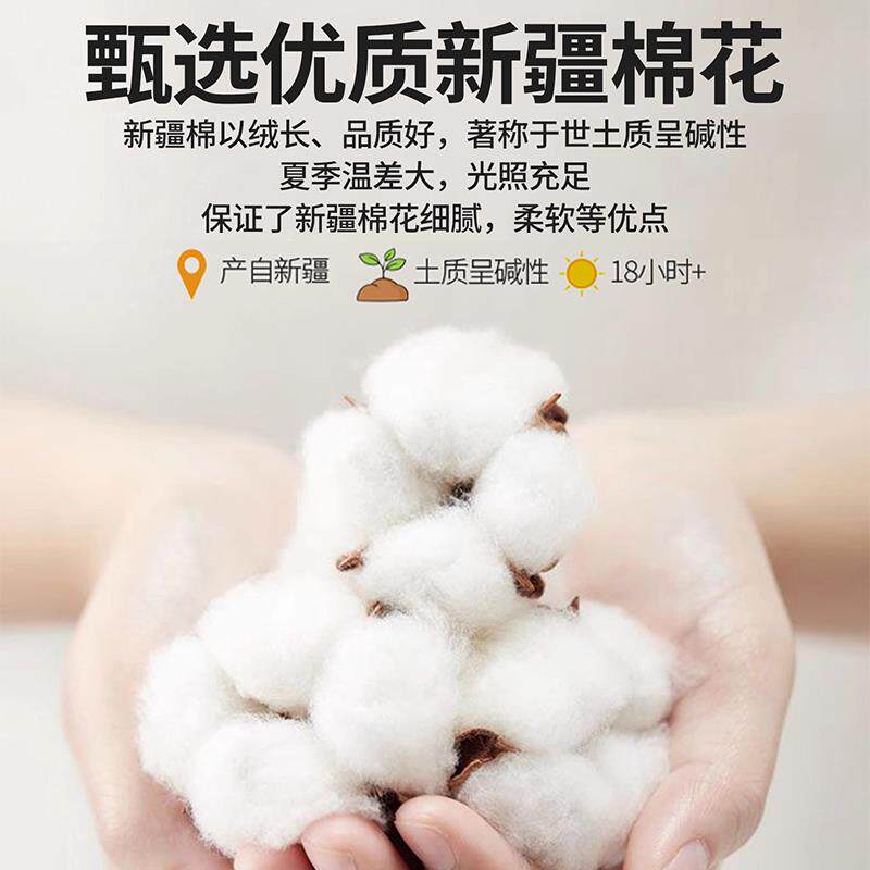 10床笠罩床垫0保护季罩三件套纯棉床单床88810274垫套单件夏205新