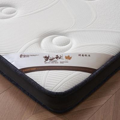 棕垫老床垫天然垫棕环保家用MRL儿童护脊偏硬人薄垫子宿舍厂家