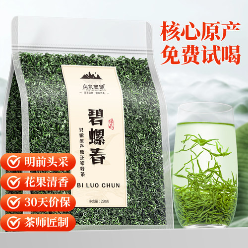 山水西湖绿茶碧螺春茶叶【买2件=发3袋】2026新茶花果香袋装250g