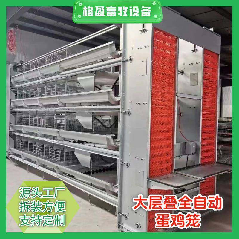 大层叠蛋鸡笼全自动化养殖设备厂家镀锌层叠式蛋鸡笼,畜牧/养殖物资,特种养殖设备,淘宝优惠券,粉丝福利购,淘宝优惠卷