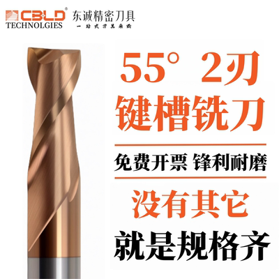 CBLD55度两刃钨钢加长键槽铣刀